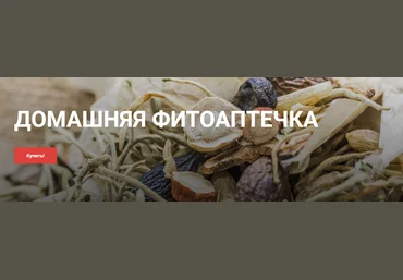 akademiyatkm.ru Ольга Евдокимова ― Домашняя фитоаптечка 2025 слив