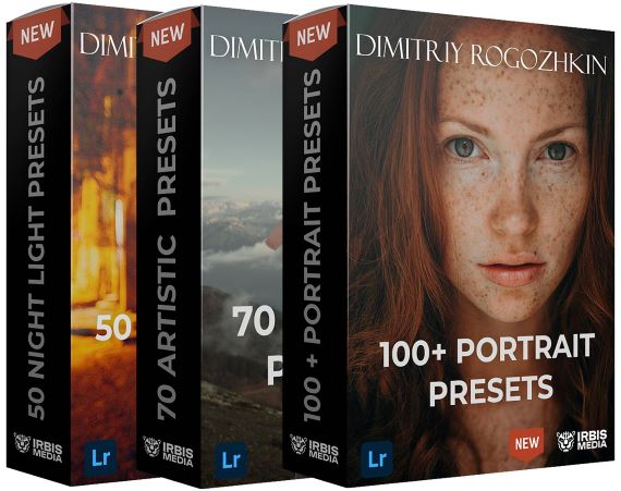 Dmitry Rogozhkin 220 художественных пресетов для Lightroom 2021 слив курса