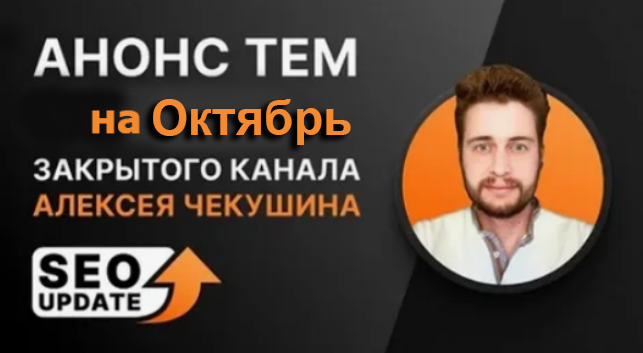 Алексей Чекушин Закрытый телеграм-канал «Seo Update». Октябрь 2024 слив курса