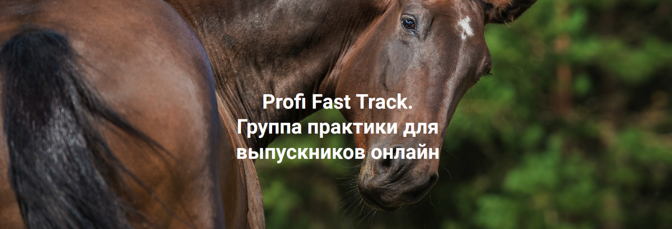 Елена Веселаго Profi Fast Track. Травма и переплетение: с чего начать работу 2023 слив курса