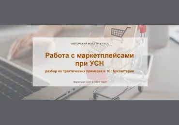 Ольга Шулова, Алина Календжан Работа с маркетплейсами при УСН. Текстовый конспект 2024 скачать слив