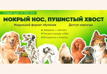Дарья Долгополова Dari Art Мокрый нос, пушистый хвост 2024 слив