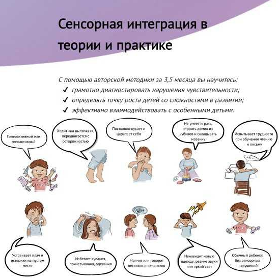 Света Ревич Сенсорная интеграция в теории и практике 2022 слив курса