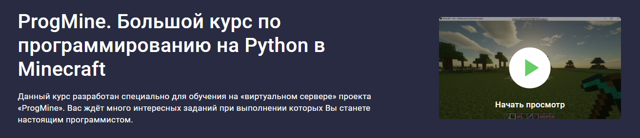 Stepik Александр Бобуров - ProgMine. Большой курс по программированию на Python в Minecraft 2023 слив курса