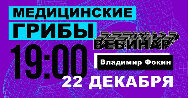Владимир Фокин Медицинские грибы 2020 слив курса