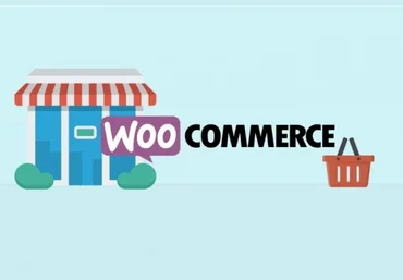 Kwork Интернет-магазин на WordPress за 45 минут скачать слив