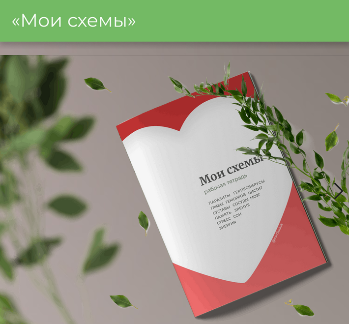 Виктория Орлинская Рабочая тетрадь. Мои схемы 2024 слив курса
