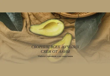 Светлана Литвиненко Сборник всех лучших схем 2025 слив