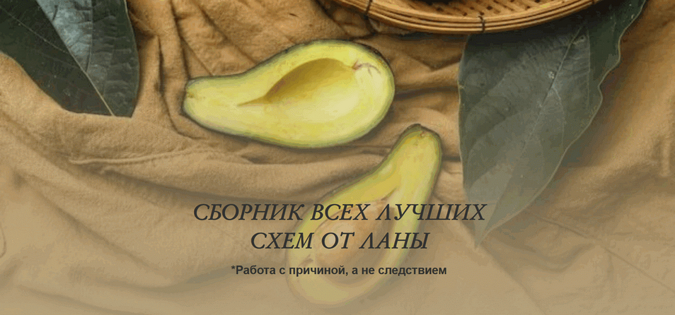 Светлана Литвиненко Сборник всех лучших схем 2025 слив курса