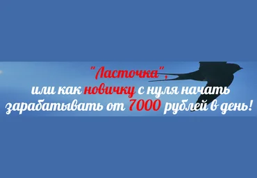 «Ласточка», или как новичку с нуля начать зарабатывать от 7000 рублей в день! слив