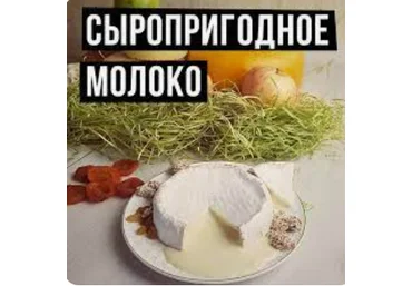 Екатерина Кокоченко Сыропригодное молок: основные показатели, требования к условиям получения 2023 слив