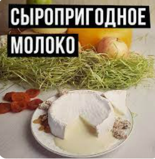 Екатерина Кокоченко Сыропригодное молок: основные показатели, требования к условиям получения 2023 слив курса