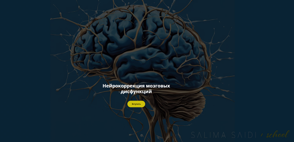 Салима Саиди Нейрокоррекция мозговых дисфункций Октябрь 2024 слив курса