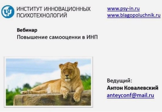Работа с самооценкой в Интегральном Нейропрограмировании Ковалевский А. слив курса