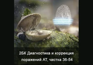 Ксения Меньшикова 2БК Диагностика и коррекция поражений АТ, чистка от 36 до 54 лет 2021 слив