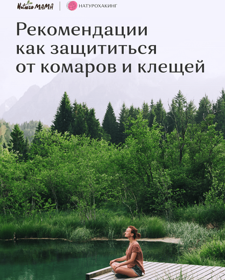 Вероника Хуснутдинова Как защититься от комаров и клещей 2023 слив курса