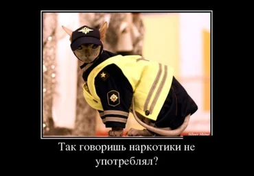 Мудрость души. Или как зависимость превратить в терапию - Бурхаев 2015 слив