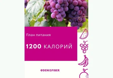 DenisFiber План питания: 1200 калорий 2020 слив