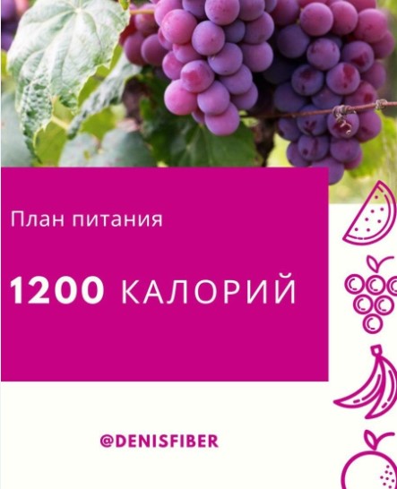 DenisFiber План питания: 1200 калорий 2020 слив курса