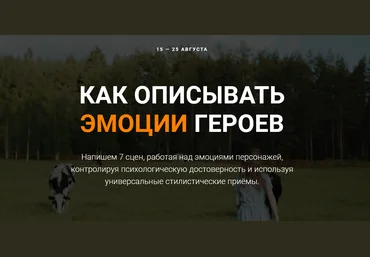 Курсы писательского мастерства Как описывать эмоции героев 2022 скачать слив
