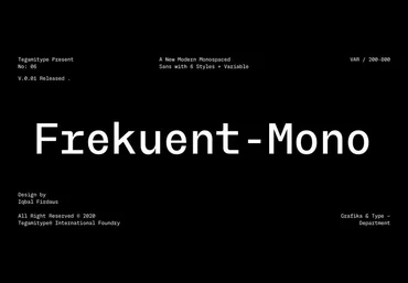 Myfonts TG Frekuent Mono Font слив
