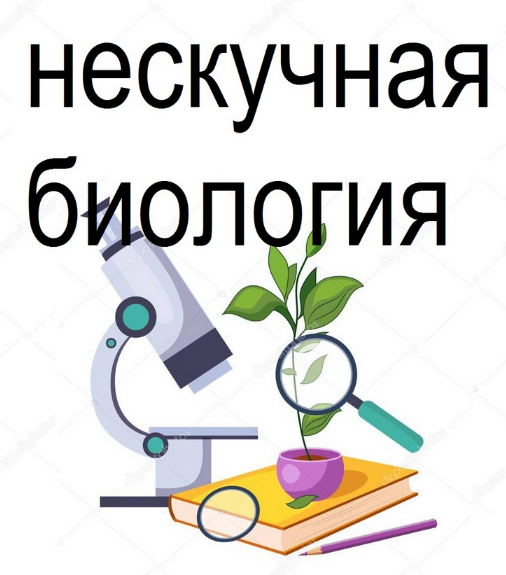Татьяна Марышева Нескучная биология. 5-6 класс 2023 слив курса
