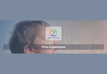 Михаил Шмелев Центр Практика Речь и движение 2022 слив