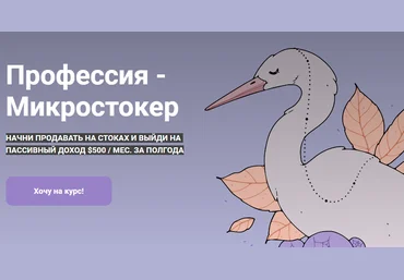Полина Лесько Профессия - Микростокер 2020 слив