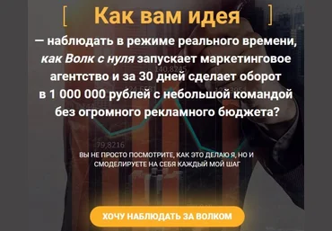 Волк Маркетинговое агентство шаг за шагом 2018 слив