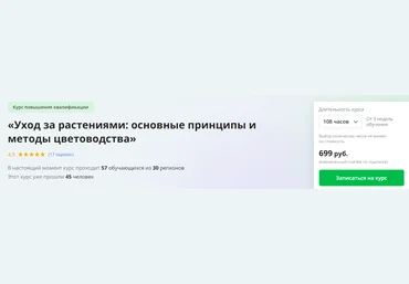 Инфоурок Уход за растениями: основные принципы и методы цветоводства 2023 слив