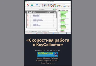 Михаил Сабянин Скоростная работа в KeyCollector слив