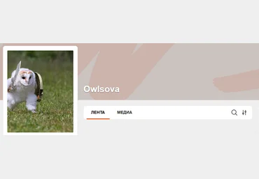 owlsova Инструкция по отзывам Avito даром почти 2024 слив