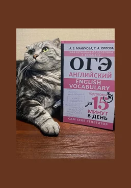 Светлана Орлова, Аида Манукова Англомастер Лексика для ОГЭ. Интерактивный курс 2025 скачать слив
