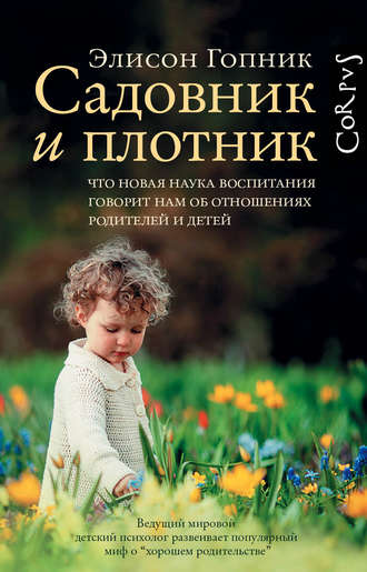 Элисон Гопник Садовник и плотник 2019 слив курса