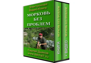 Cергей Дьяков Морковь без проблем 2024 слив