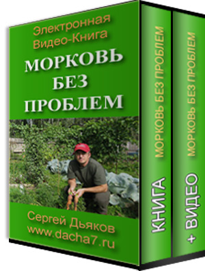 Cергей Дьяков Морковь без проблем 2024 слив курса