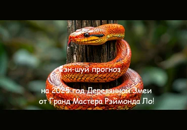 Рэймонд Ло Фэн-шуй прогноз на 2025 год Змеи от Гранд Мастера Рэймонда Ло 2024 слив
