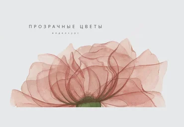 Ирина Толчина Прозрачные цветы. Роза 2020 слив