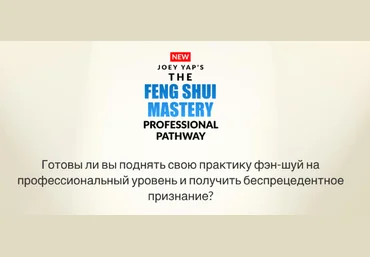 Joey Yap Внутренние формации фэн шуй 2024 скачать слив