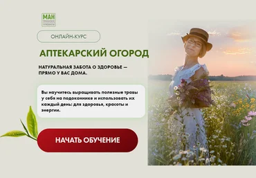 МАН Аптекарский огород 2025 слив