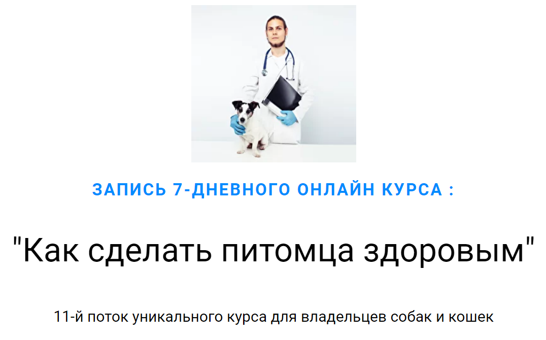 Дмитрий Русаков Как сделать питомца здоровым 2020 слив курса