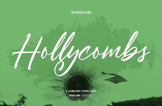 Fontbundles Hollycombs Script Font 2022 слив курса