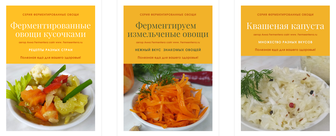 Fermenterra Серия «Ферментированные овощи» 2023 слив курса