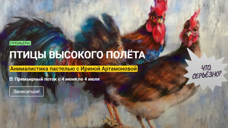 kalachevaschool Птицы высокого полета. Анималистика пастелью с Ириной Артамоновой 2021 слив курса