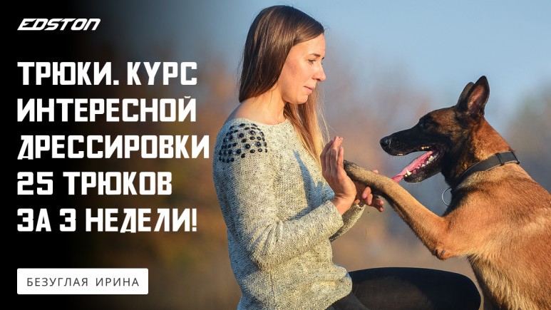 Ирина Безуглая Трюки. Курс интересной дрессировки. 25 трюков за 3 недели 2024 слив курса