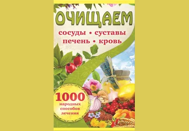 Очищаем сосуды, суставы, печень, кровь. 1000 народных способов лечения - Костина-Кассанелли 2017 слив