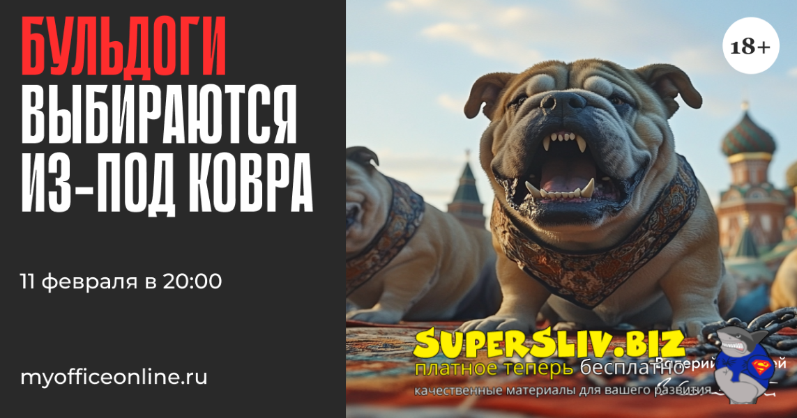 Валерий Соловей Бульдоги выбираются из-под ковра 2025 слив курса