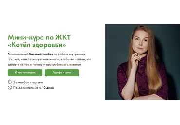 Екатерина Берлин Мини-курс по ЖКТ «Котёл здоровья». Тариф Без обратной связи 2025 слив
