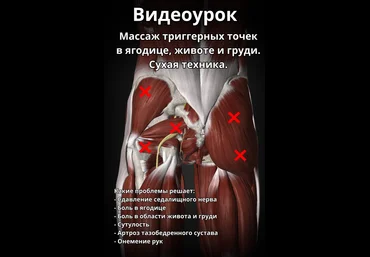 Артем Пак Массаж триггерных точек в ягодице, животе и груди 2024 слив