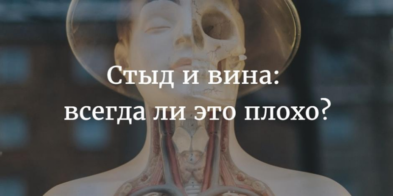 Смирнов Сергей Анатомия стыда и вины 2019 слив курса